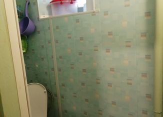 Продажа однокомнатной квартиры, 33 м2, деревня Рябины, Юбилейная улица, 2