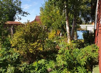 Продажа дома, 50 м2, СНТ Кречет