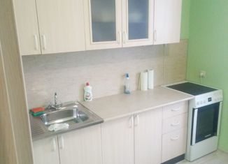 Сдам 1-комнатную квартиру, 41 м2, Александров, Молодёжная улица, 8