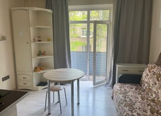 Продается квартира студия, 20.5 м2, Нижний Новгород, улица Героя Чугунова, 5, улица Героя Чугунова