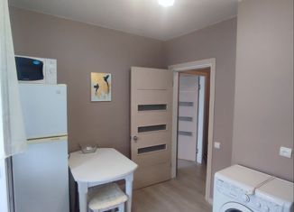 Однокомнатная квартира в аренду, 26 м2, село Чигири, Чигиринская улица, 5