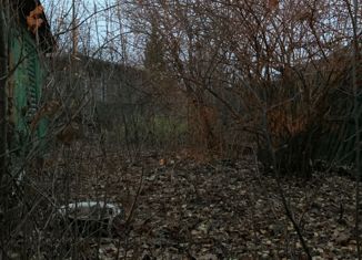 Участок на продажу, 4.2 сот., деревня Щедрино, деревня Щедрино, 49