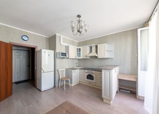 Продается квартира студия, 24.1 м2, Мурино, Охтинская аллея, 16, ЖК Мой Город