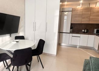 Продается 1-ком. квартира, 34 м2, Сочи, переулок Трунова, 6, ЖК Альпийский Квартал