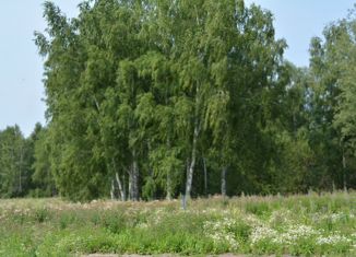 Земельный участок на продажу, 15 сот., поселок Зональная Станция