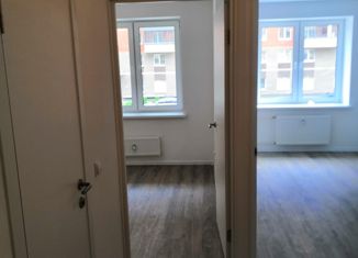 Продажа 1-комнатной квартиры, 29.7 м2, Колпино, Балканская дорога, 14к2, ЖК Новое Колпино