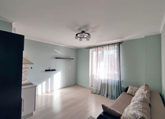 Продается квартира студия, 24.4 м2, Мурино, проспект Авиаторов Балтики, 7, ЖК Виктория