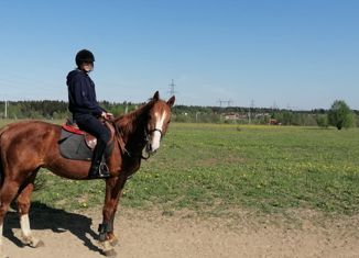 Продам участок, 6 сот., деревня Еремеево