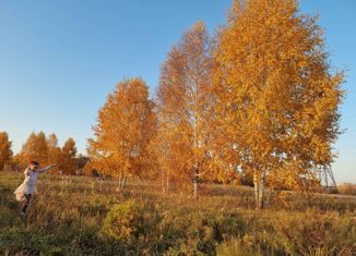 Продается земельный участок, 5.5 сот., Новосибирская область, Смородиновая улица