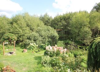 Продам дом, 18 м2, деревня Белозерово, деревня Белозёрово, 50А