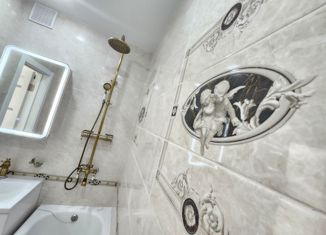 Однокомнатная квартира на продажу, 40 м2, село Семёновка, Молодёжная улица, 3В