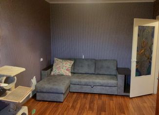 Сдаю в аренду 1-комнатную квартиру, 37 м2, Белгородская область, Молодёжная улица, 14