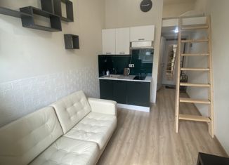 Сдается квартира студия, 20 м2, Москва, Клинская улица, 8с1, район Ховрино