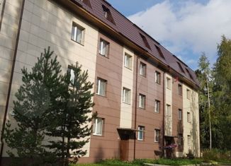 Продаю двухкомнатную квартиру, 50.8 м2, Нововилговское сельское поселение, территория 10 км Пряжинского шоссе, 4А