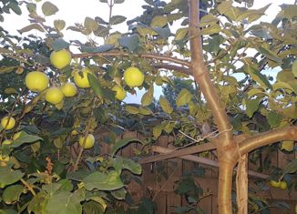 Дом на продажу, 30 м2, Абакан, Благодатная улица, 2