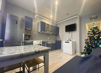 Продается 2-ком. квартира, 61 м2, Санкт-Петербург, Парашютная улица, 58, ЖК Каменка