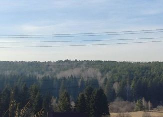 Продаю дом, 28 м2, село Силино, Российская улица