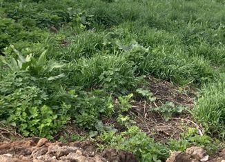 Продажа участка, 6 сот., село Шелокша, Тепличная улица