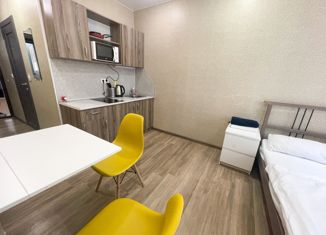 Квартира на продажу студия, 18.5 м2, Санкт-Петербург, улица Чехова, 4Б, улица Чехова