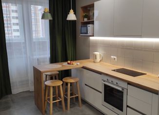 Продажа 1-ком. квартиры, 44 м2, село Осиновая Гора, Восточная улица, 13