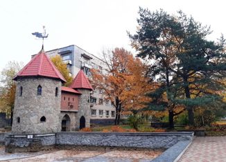 Однокомнатная квартира на продажу, 17.6 м2, Сосновый Бор, Сибирская улица, 2