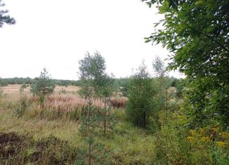 Продаю земельный участок, 15 сот., деревня Ящерово, Невская улица