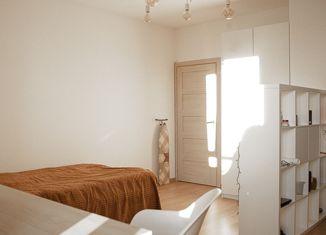 Продается квартира студия, 31 м2, Санкт-Петербург, Арцеуловская аллея, 23к1, ЖК Чистое Небо