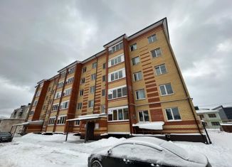 Продается двухкомнатная квартира, 51 м2, село Высокая Гора, Большая Красная улица, 220