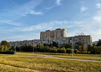 Продаю двухкомнатную квартиру, 49 м2, Санкт-Петербург, улица Турку, 11к1, метро Международная