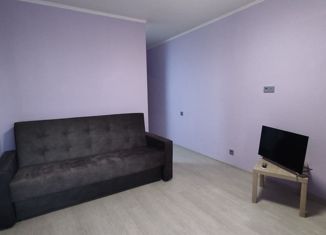 Продается квартира студия, 29.3 м2, Санкт-Петербург, улица Савушкина, 143к1, улица Савушкина