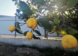 Продам участок, 6 сот., садоводческое товарищество Донское, садоводческое товарищество Донское, 591