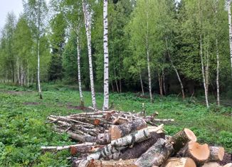 Продается участок, 8 сот., деревня Малыгино, деревня Малыгино, 24