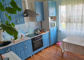 Продаю дом, 65 м2, село Красноусольский, Октябрьская улица, 3