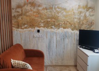 Продажа 1-ком. квартиры, 27 м2, Нижний Новгород, улица Афанасьева, 8, улица Афанасьева