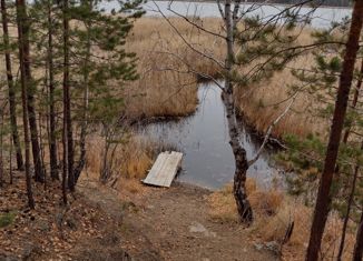 Участок на продажу, 170 сот., Огневское сельское поселение