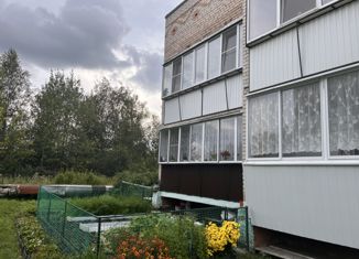 Продается 2-ком. квартира, 47.6 м2, поселок Новобатурино, Центральная улица, 13