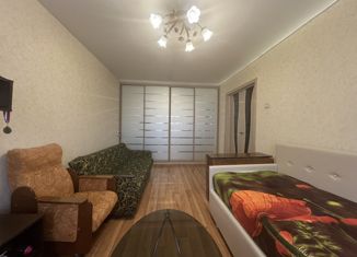 Продается двухкомнатная квартира, 41.2 м2, Нижний Новгород, улица Адмирала Макарова, 4к1, метро Ленинская