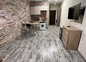 Продам квартиру студию, 22.3 м2, Санкт-Петербург, Репищева улица, 10к2, Репищева улица