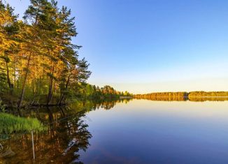 Продается земельный участок, 47 сот., Михайловское сельское поселение