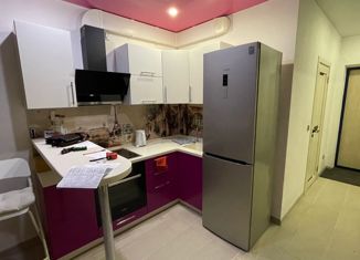 Продается квартира студия, 25.2 м2, Новосибирск, улица Костычева, 36, улица Костычева