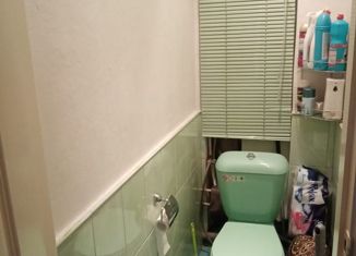 Продажа двухкомнатной квартиры, 47 м2, село Сосновка, Шоссейная улица, 6