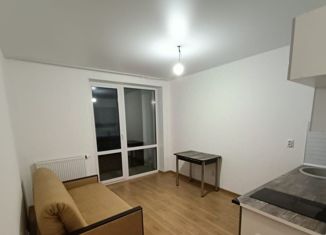 Продам однокомнатную квартиру, 28 м2, Екатеринбург, улица Лётчиков, 7, метро Уральская