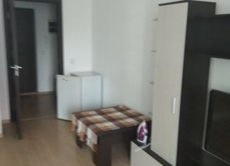 Квартира в аренду студия, 24 м2, Кудрово, Столичная улица, 2