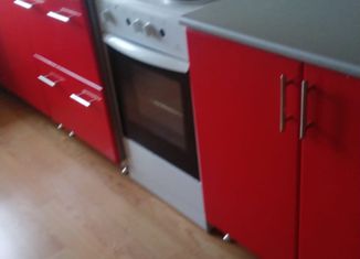 Сдача в аренду однокомнатной квартиры, 52.2 м2, Октябрьский, улица Академика Королёва, 15