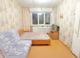 1-комнатная квартира на продажу, 28.7 м2, Кировская область, поселок Колос, 1