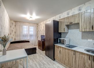 Квартира на продажу студия, 24.4 м2, Мурино, Петровский бульвар, 7, ЖК Ласточка