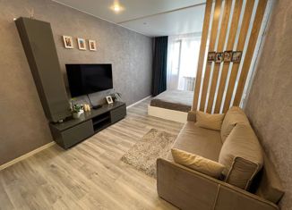 Продажа 1-ком. квартиры, 35.6 м2, посёлок Тельмана, посёлок Тельмана, 34