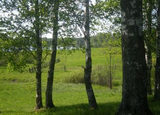 Земельный участок на продажу, 19 сот., деревня Костково, Молодёжная улица