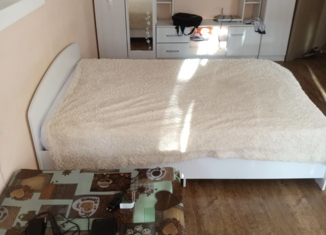 Сдача в аренду однокомнатной квартиры, 30 м2, Кунгур, улица Степана Разина, 63