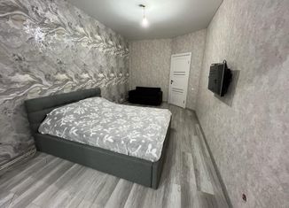 Продам однокомнатную квартиру, 50 м2, Ставрополь, Черниговская улица, 4/1, микрорайон № 29